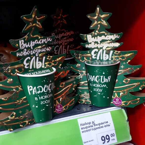 набор для выращивания вырасти новогоднюю ель в фикс прайс
