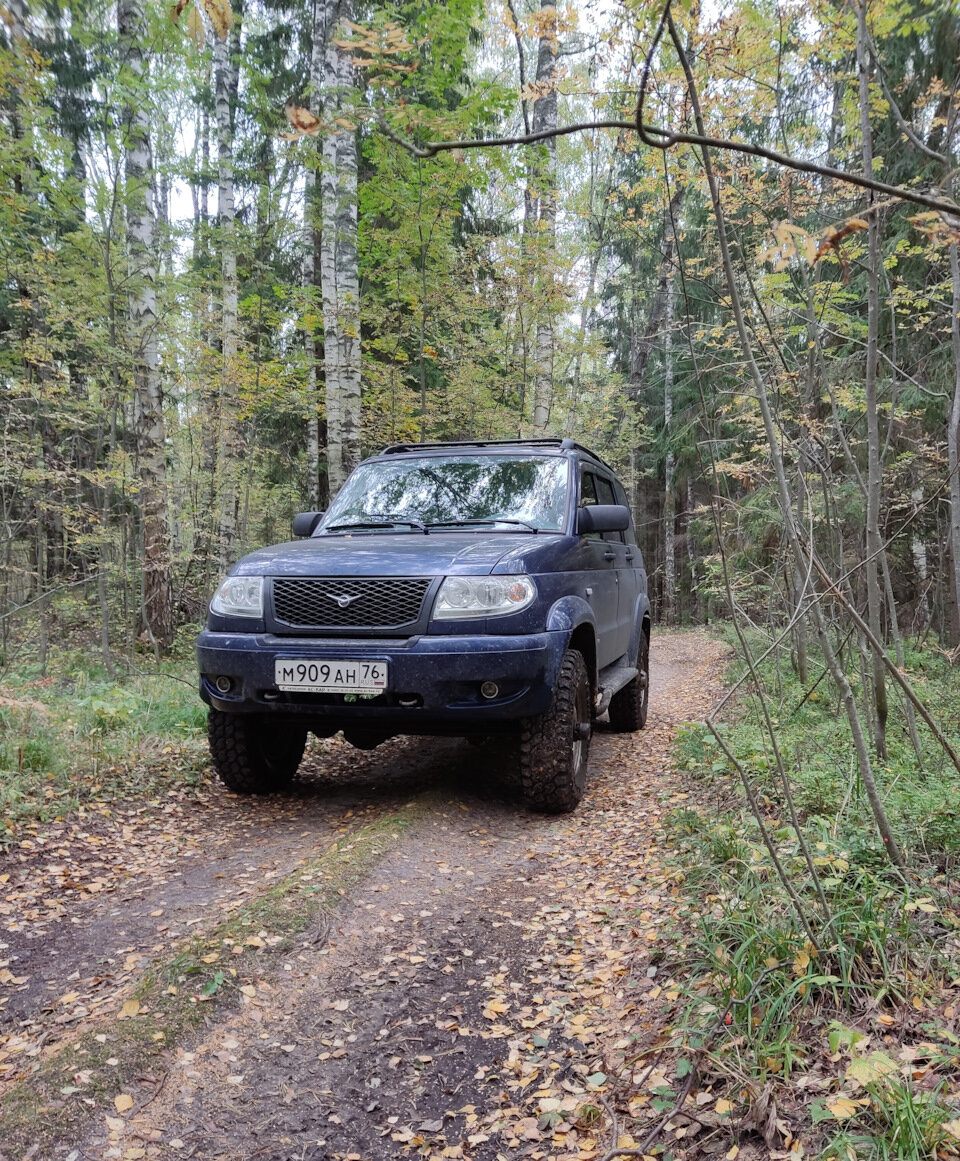 Осенние дорожки прекрасны