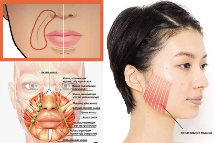liveinternet - свободный доступ