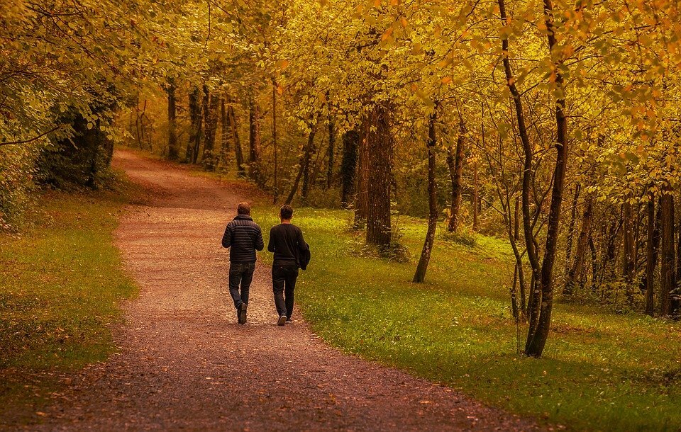 Беседа. Уж полдень близится, а лавочек всё нет.