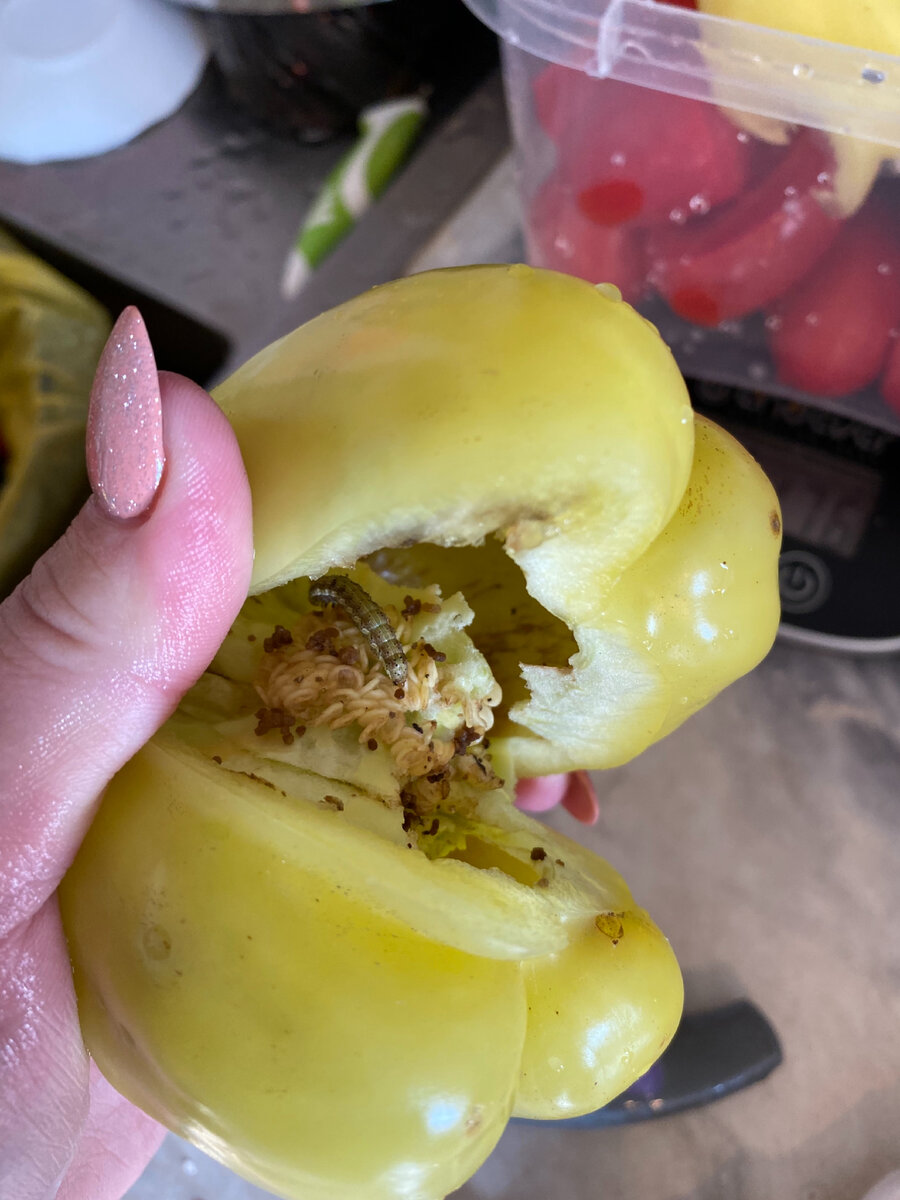 Осенью 2021 года. Фото автора