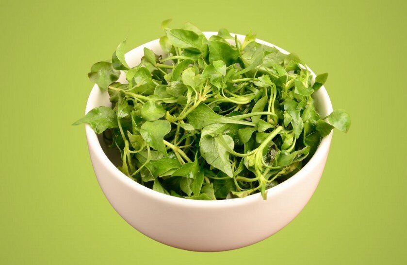 Добавьте описание