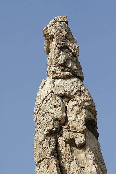 Жена Лота. Фото из открытых источников