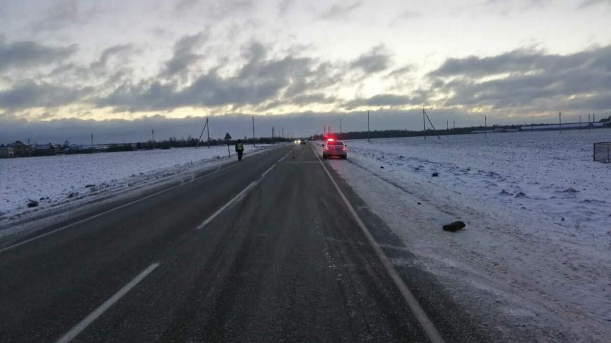     64-летний пенсионер попал сегодня утром под колеса автомобиля Kia Sportage. Трагедия произошла на 33-м километре трассы Богандинский — Червишево — Чаплык.