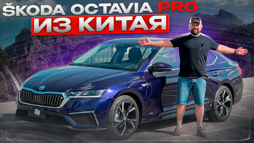 SKODA OCTAVIA PRO: длиннее Октавии А8, проекция, люк, DSG!