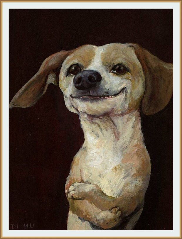 © Руди Хурцльмайер / Rudi Hurzlmeier / Позитивный пес