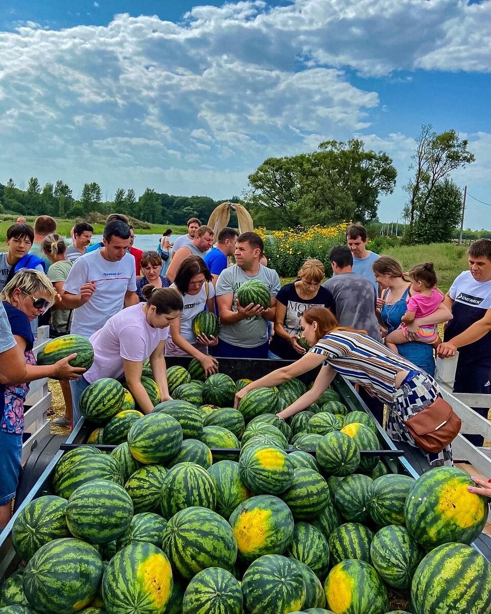 Эко-фермы недалеко от Курска, куда можно съездить на выходных |  Интернет-журнал «Морс» | Дзен