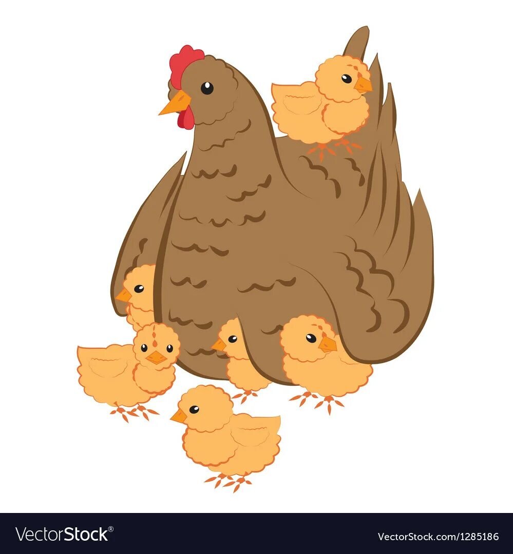 https://cdn2.vectorstock.com/i/1000x1000/51/86/hen-with-chickens-vector-1285186.jpg