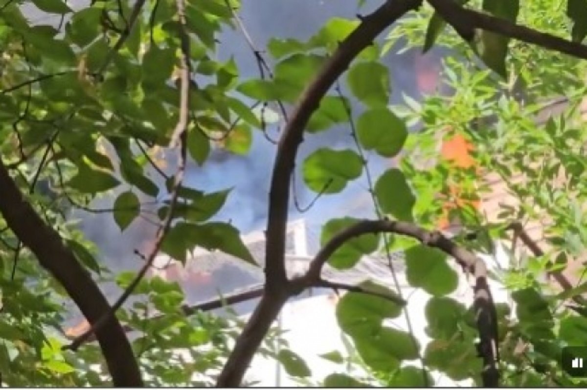    скриншот с видео