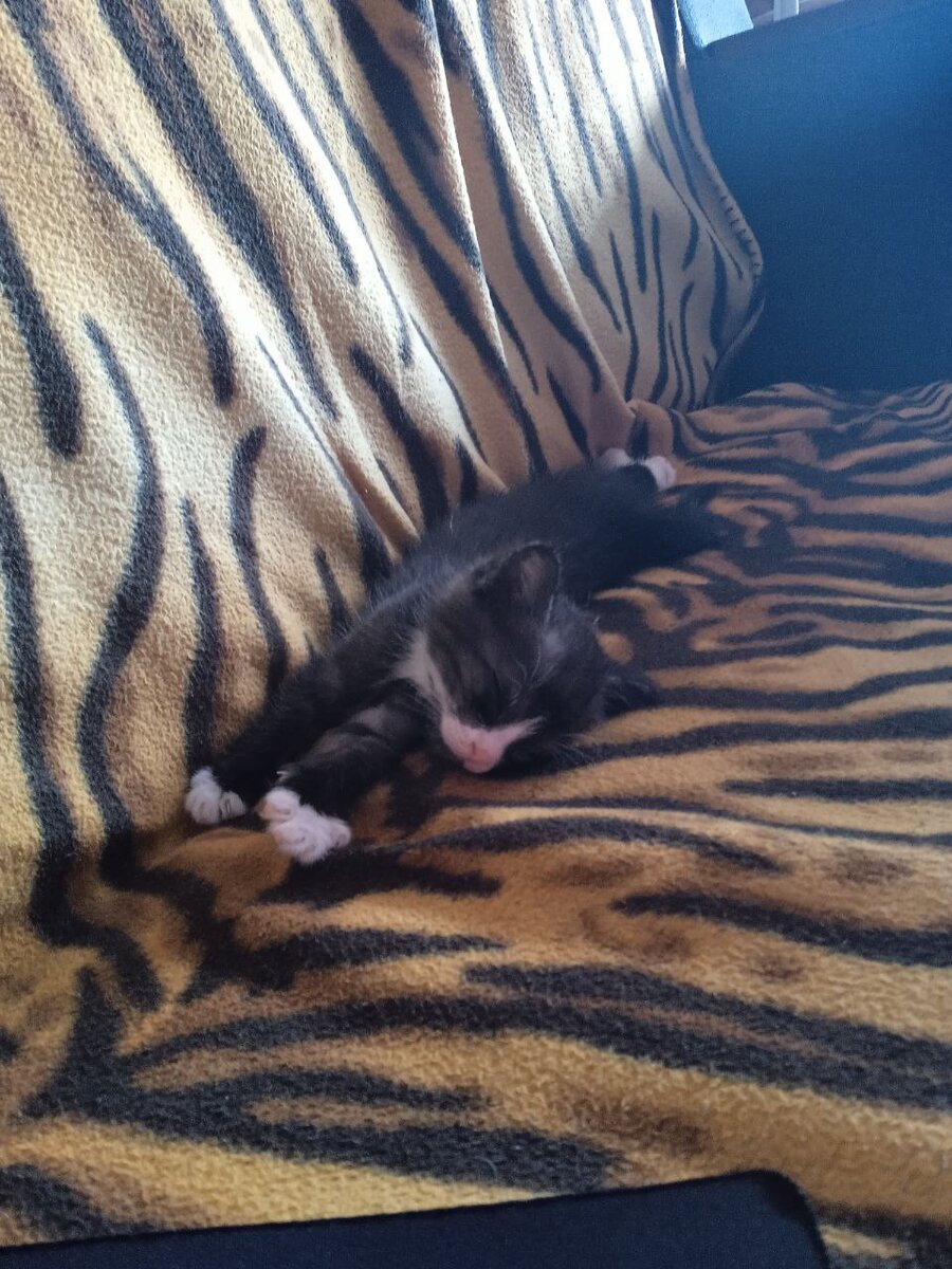 Кайфушки на новом месте