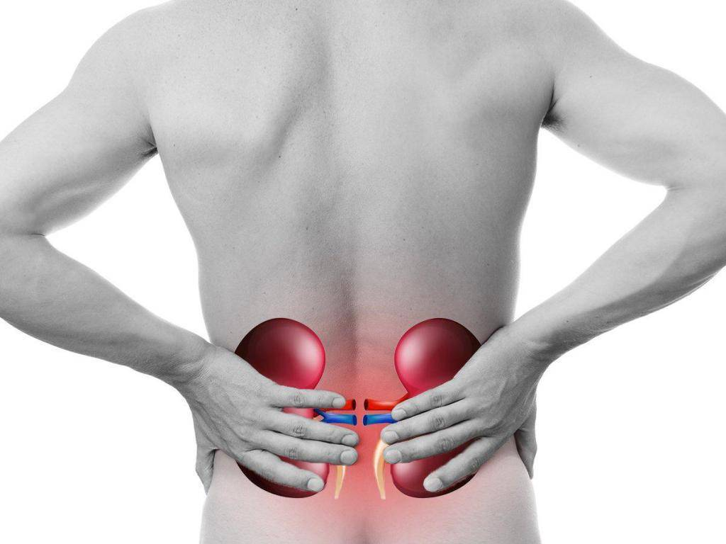 Rinichii aparțin organelor excretoare; datorită muncii lor constante, organismul scapă de produsele metabolice, dar dacă sunt bolnavi? -6