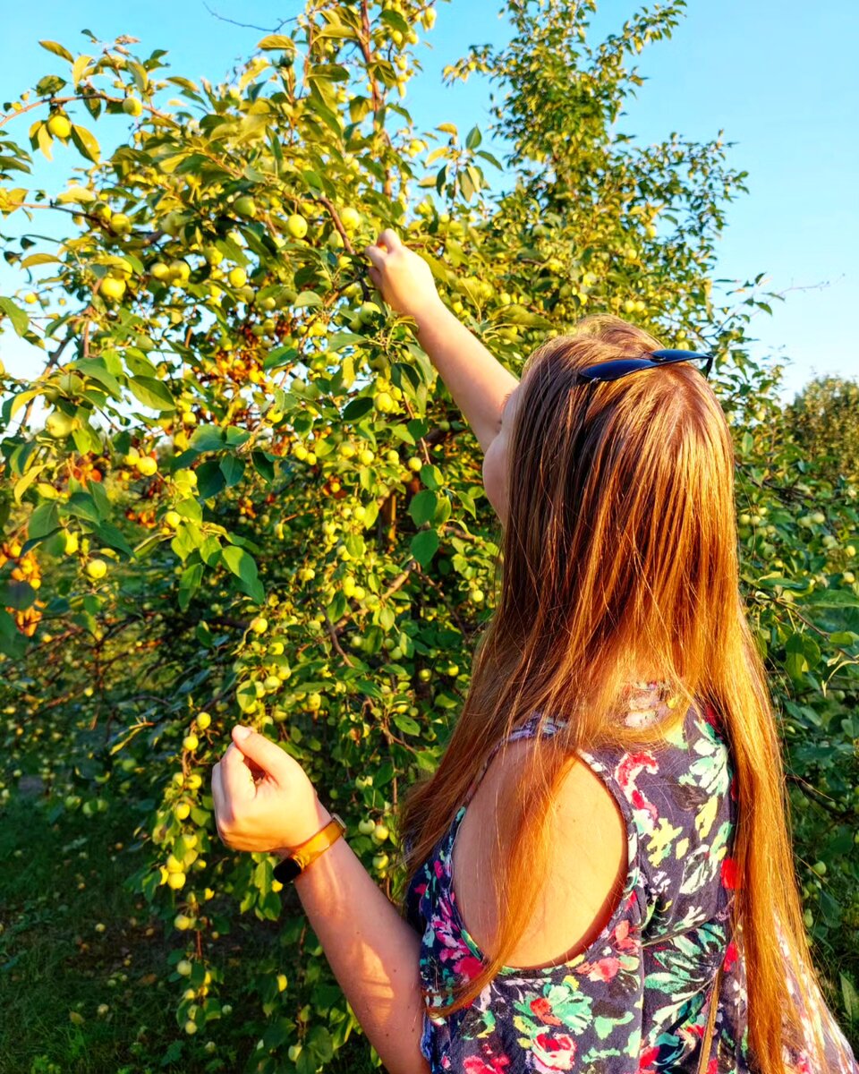 Ходили в общественный сад - съела 3 яблока, и в моменте мне казалось что это самые вкусные яблоки в моей жизни.
