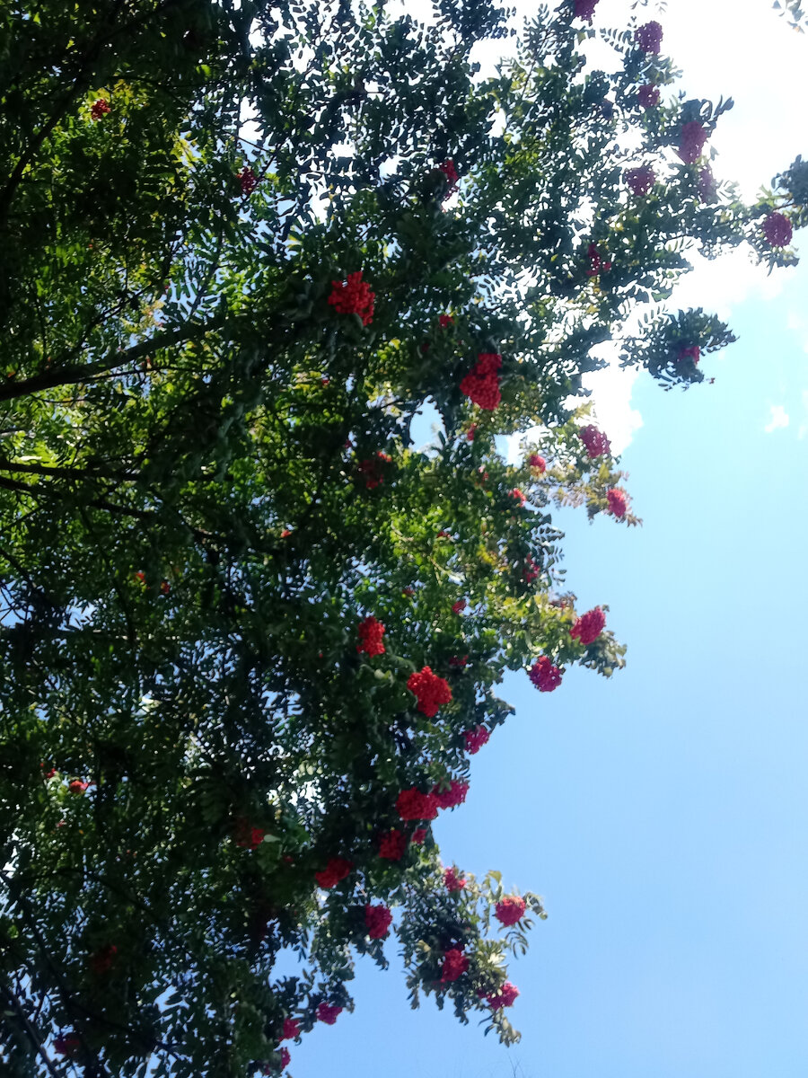 На улице благодать. фото личное