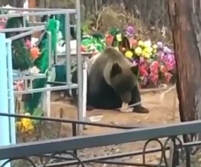 Фото взято из архива яндекс 