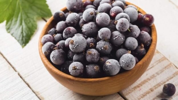 Замороженная чёрная смородина (Фото: oldbakery.ru)