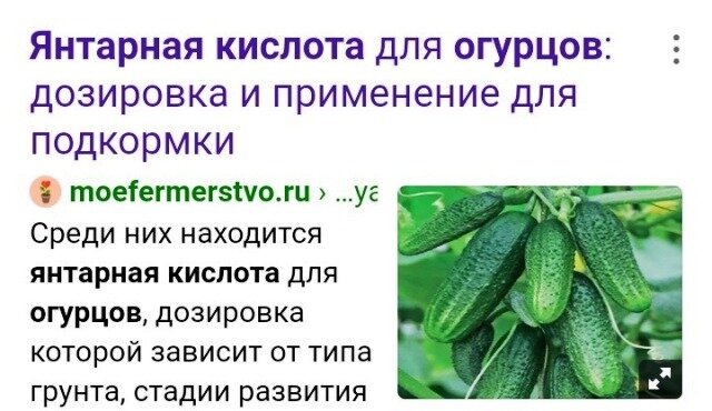 Как подкормить марганцовкой огурцы. Как поливать огурцы янтарной кислотой. Янтарная кислота для огурцов и томатов. Янтарная кислота для рассады огурцов. Янтарная кислота для помидор и огурцов.