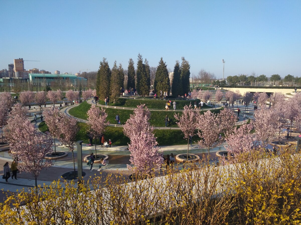Парк Краснодар весной