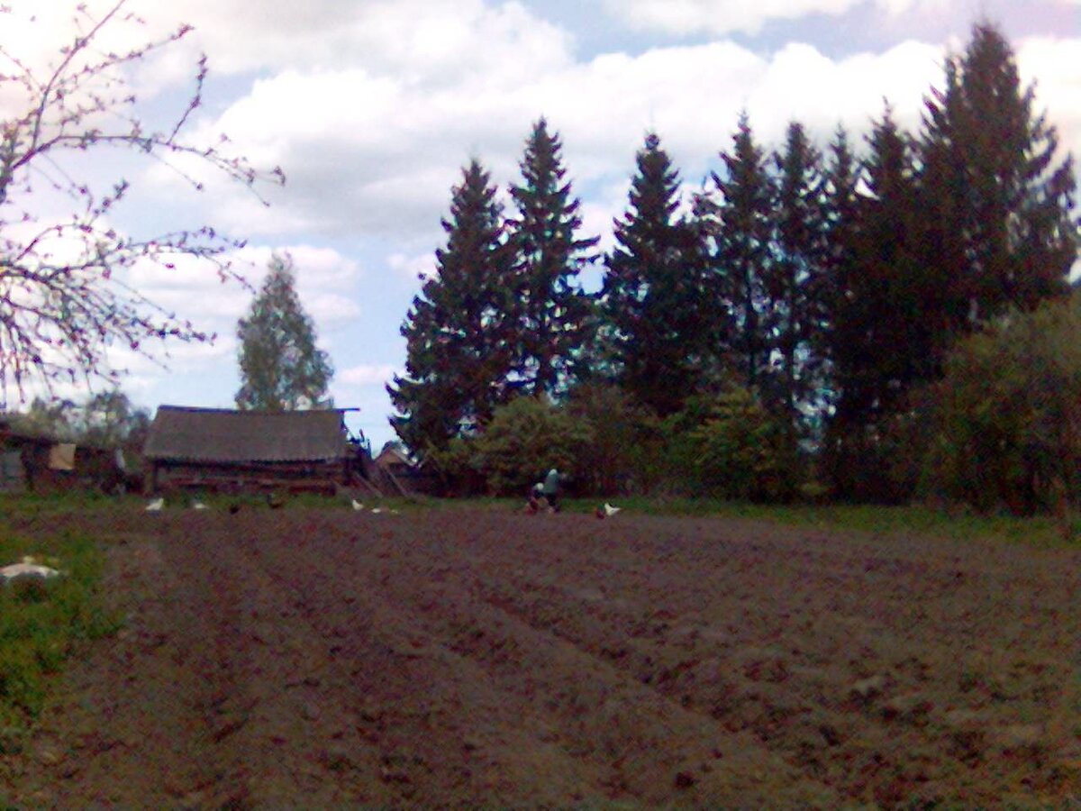 Ёлки... моталки, растудыть их через мотовило!