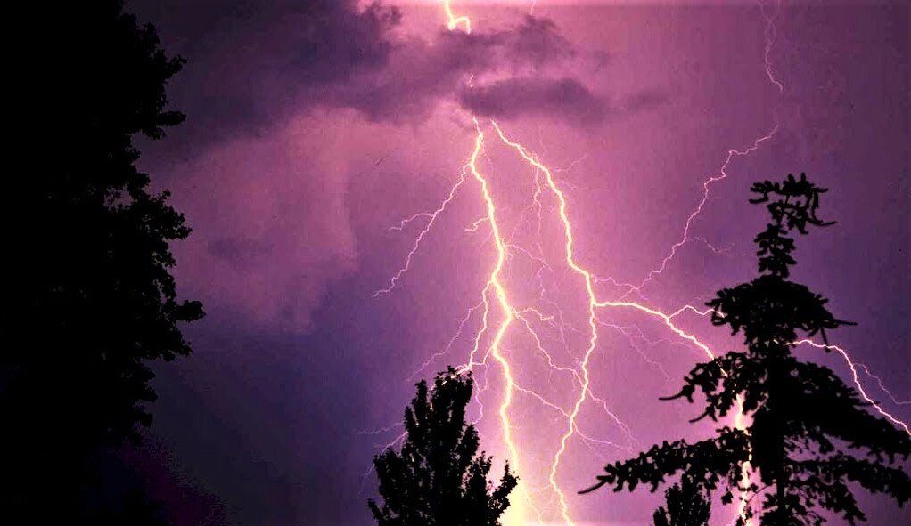 Фото из сети Интернет