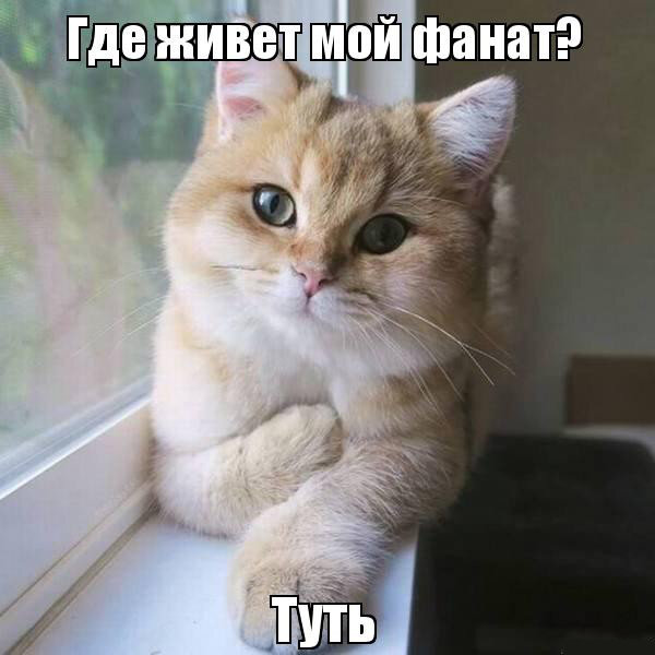 А ты мне его скажешь. А ты мне его скажешь