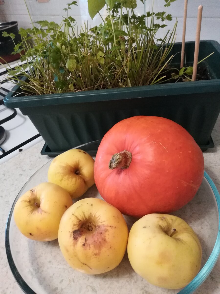 Сейчас будем готовить тыквенно-яблочный пирог из своего урожая.