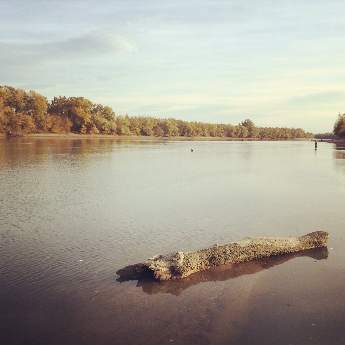 Кубань мелеет, скоро осень и вода спадает на 2-3 метра от обычного уровня. На заденем фоне рыбак пытается поймать хищную рыбу. Надеется на судака.  