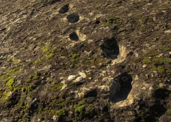 "Следы дьявола"