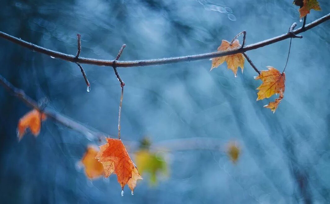 фото яндекс картинки 