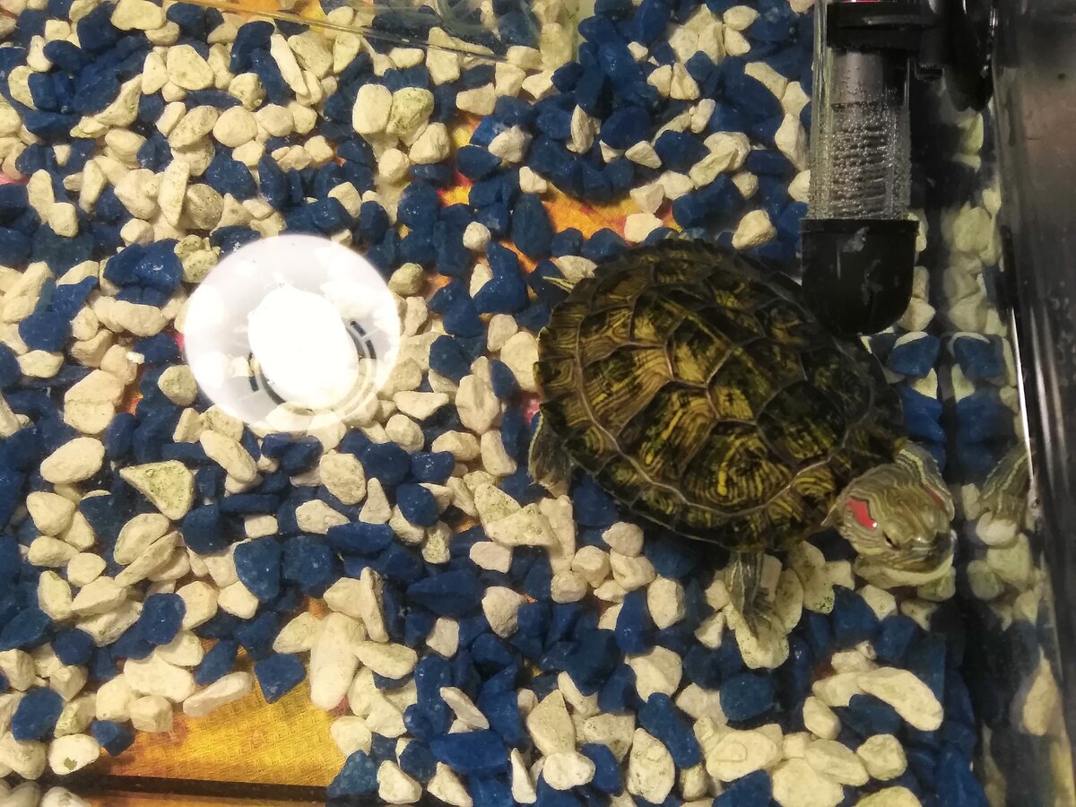 Личное фото