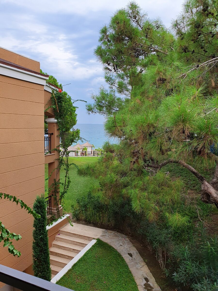 Вид из номера