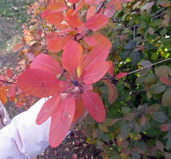 Фото А. Бондаря, руководителя «Школы юнкоров».