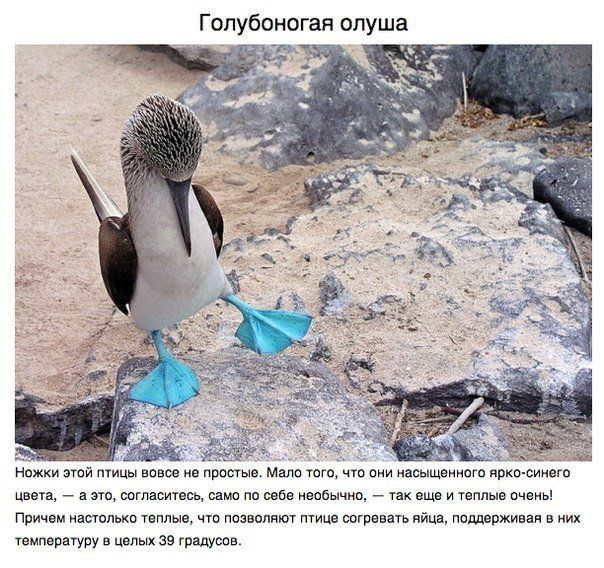 Фото взято с публичного ресурса Яндекс Картинки