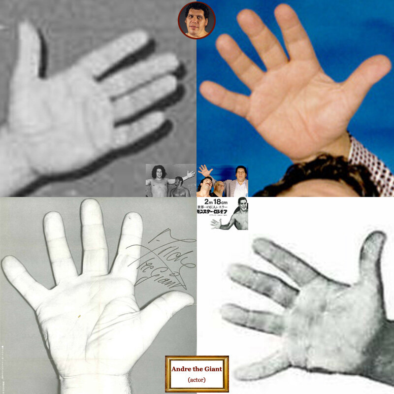 профессиональный борец