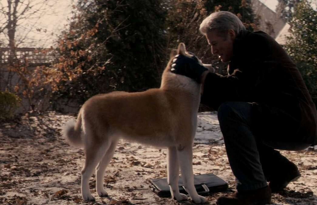 Кадр из фильма "Хатико: самый верный друг"