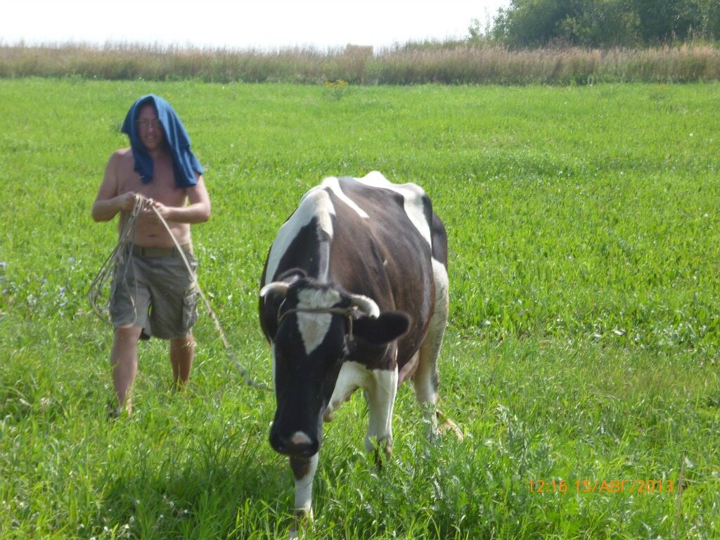 Лето в деревне