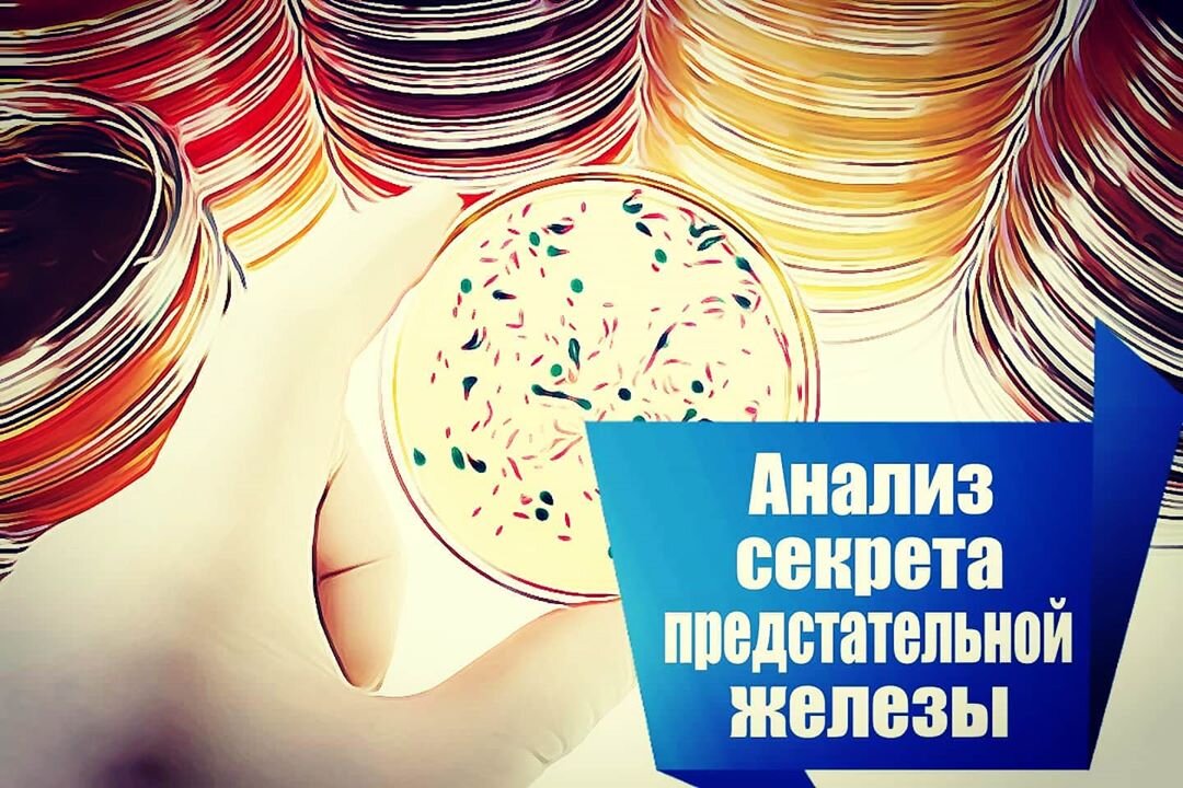 Исследование секрета