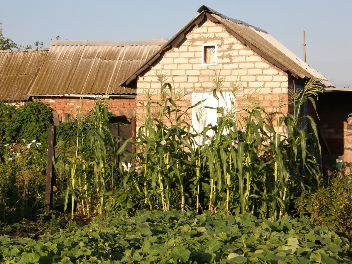 Садовый домик.