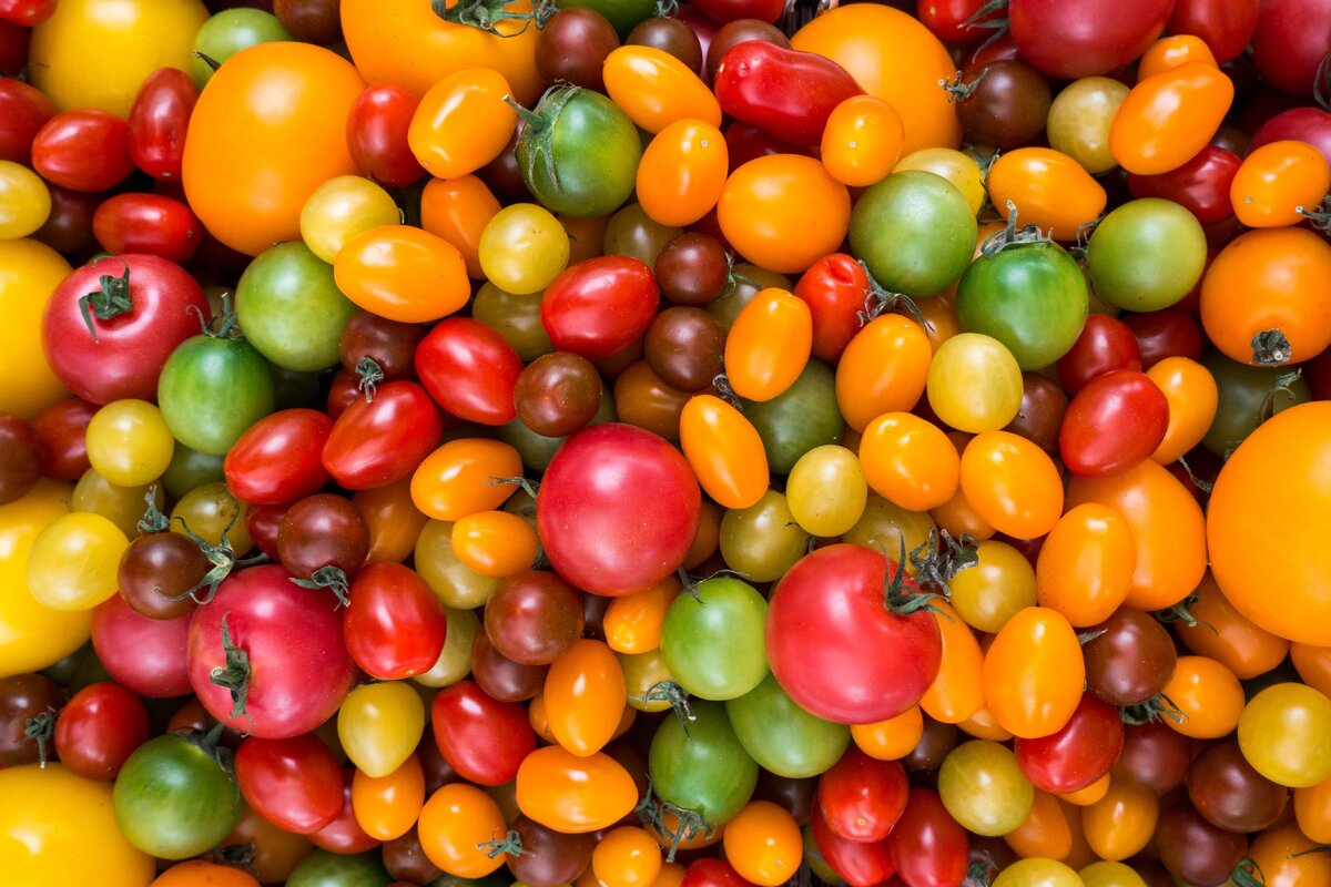 Источник: https://www.foodiesfeed.com/free-food-photo/colorful-variety-of-tomatoes/download/