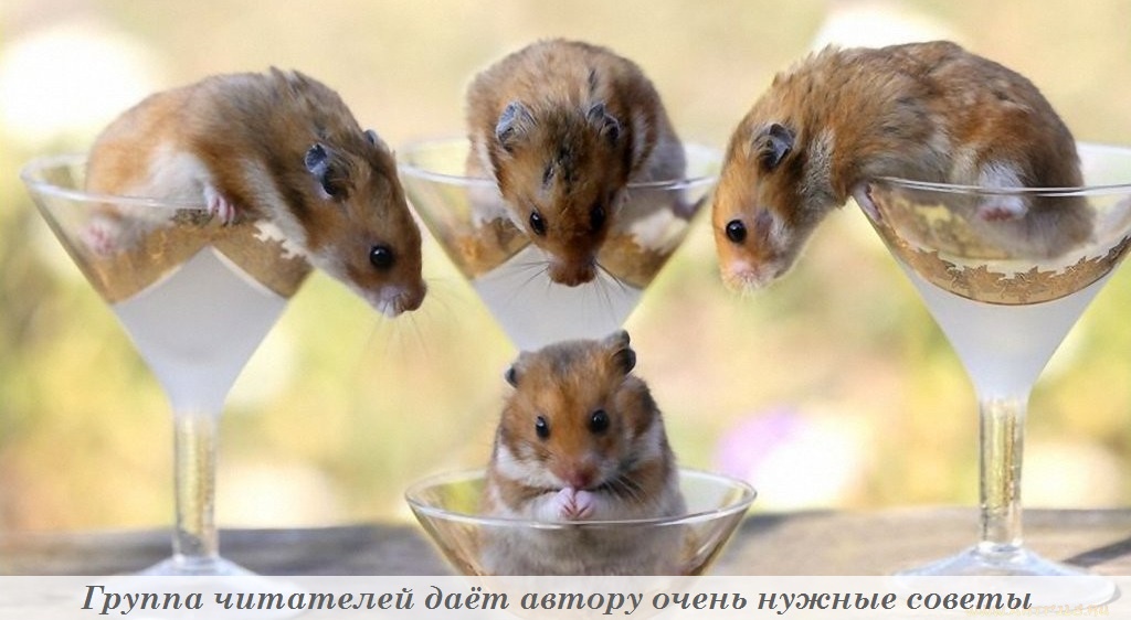 Фото взято из сети