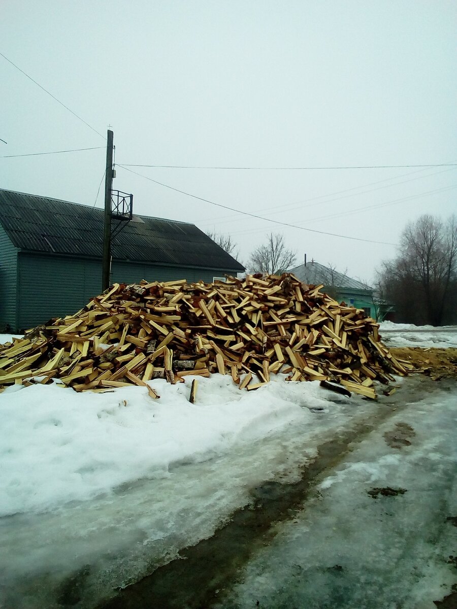 Дрова свежей заготовки.