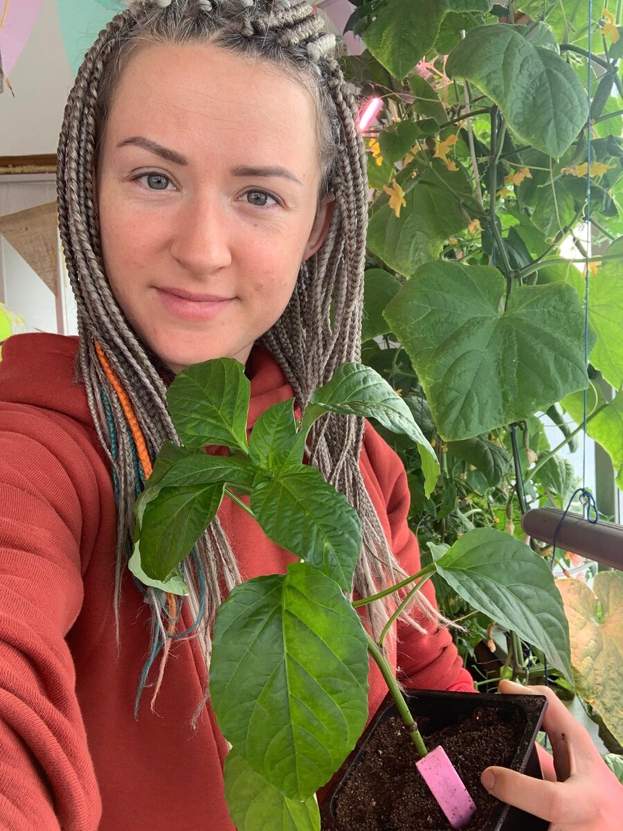 Я и мой перчик