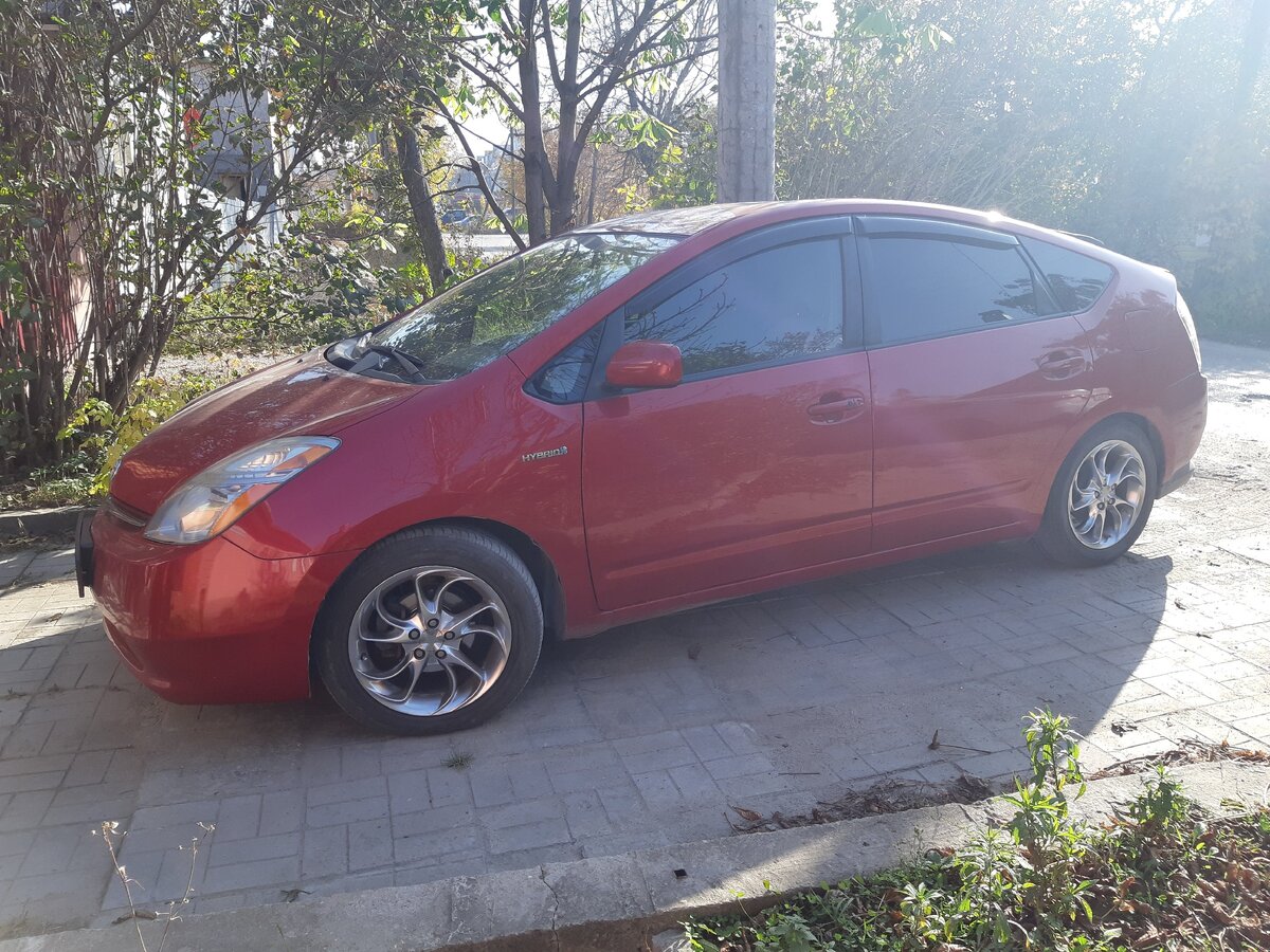 Уникальный японский гибрид