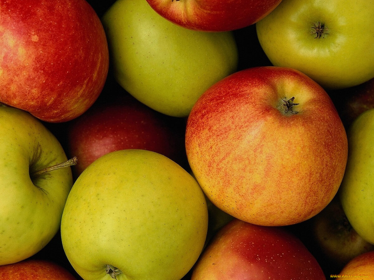 Яблоки на прилавке. Брянские яблоки кобец. Килограмм яблок. Яблоко стоит 60. Яблоко картинка на белом фоне.