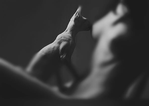 Сиюминутная поэзия на злободневную тематику.