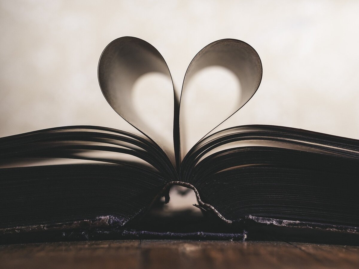 Источник фото: pixabay.com