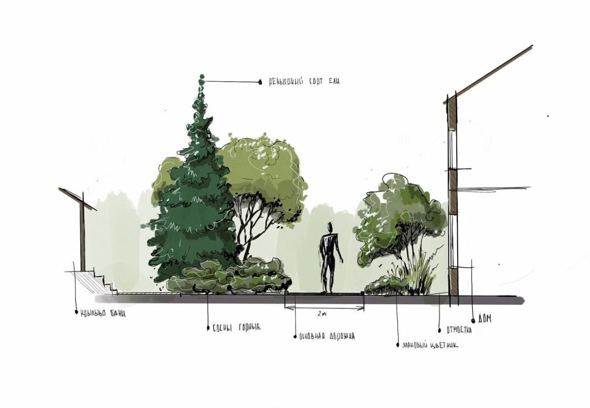 Формат скетча. Подача ландшафтного проекта на планшете. Планшет для ландшафтного скетчинга. Развертка участка. Ландшафтные развертки участка.