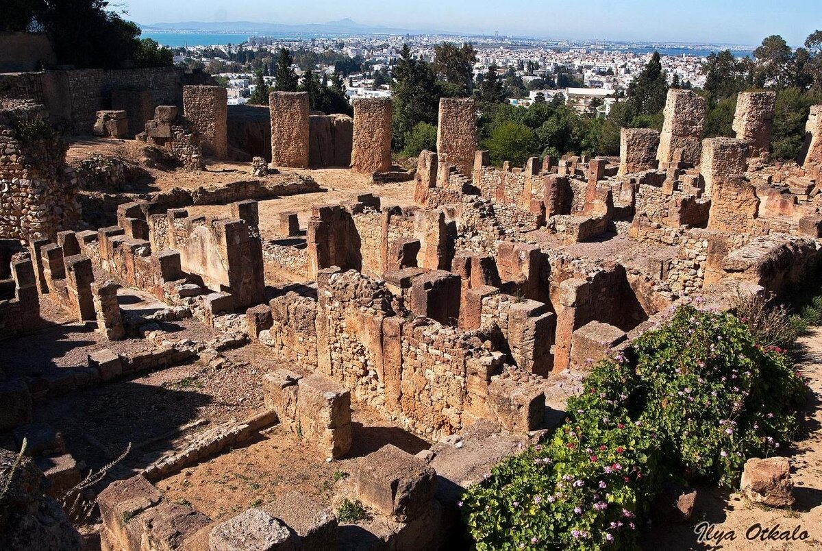 Ruined ancient city. Руины Карфагена Тунис. Развалины Карфагена в Тунисе. Древний город Карфаген в Тунисе. Руины древнего города Карфаген.