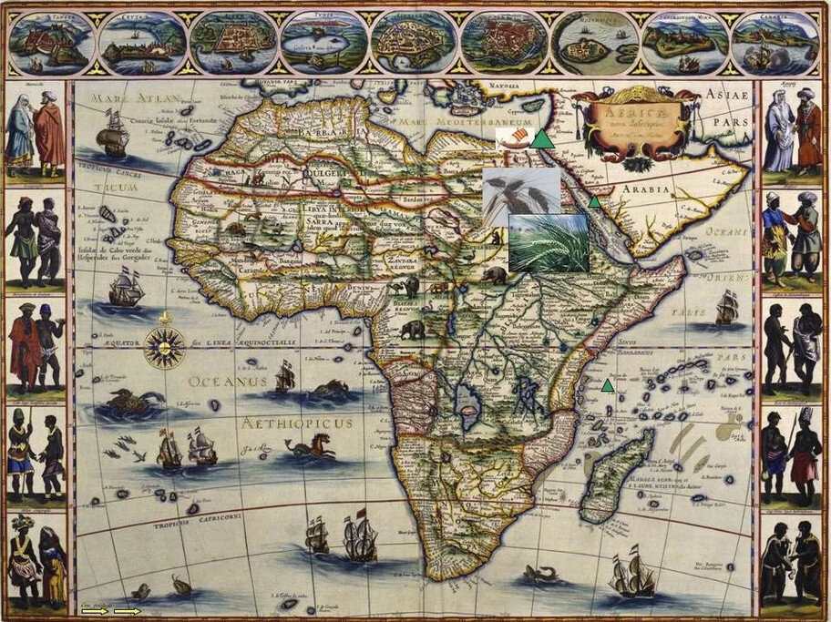 карта Африки