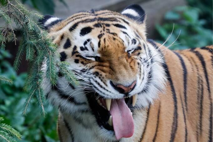 фото (Sergei Karpukhin / Contributor/Getty Images)