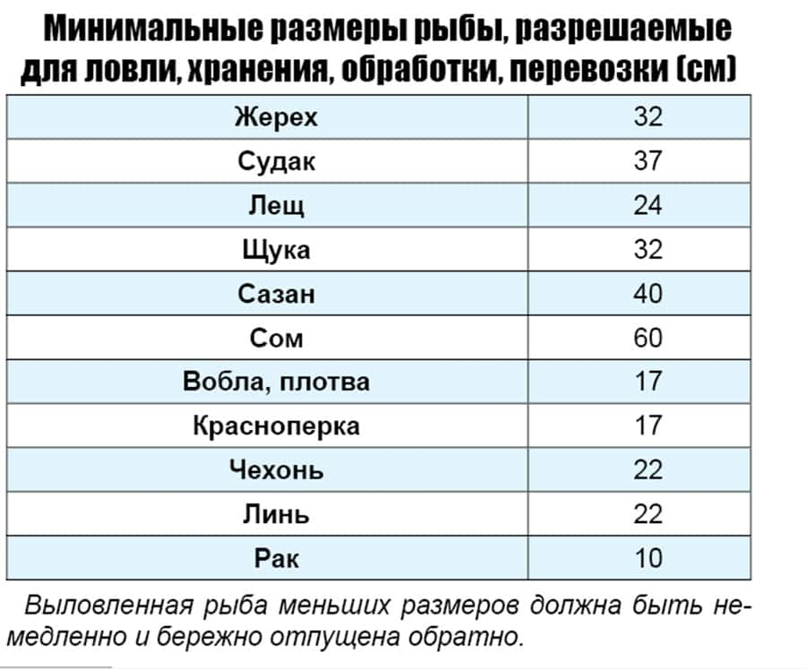 Размеры рыб